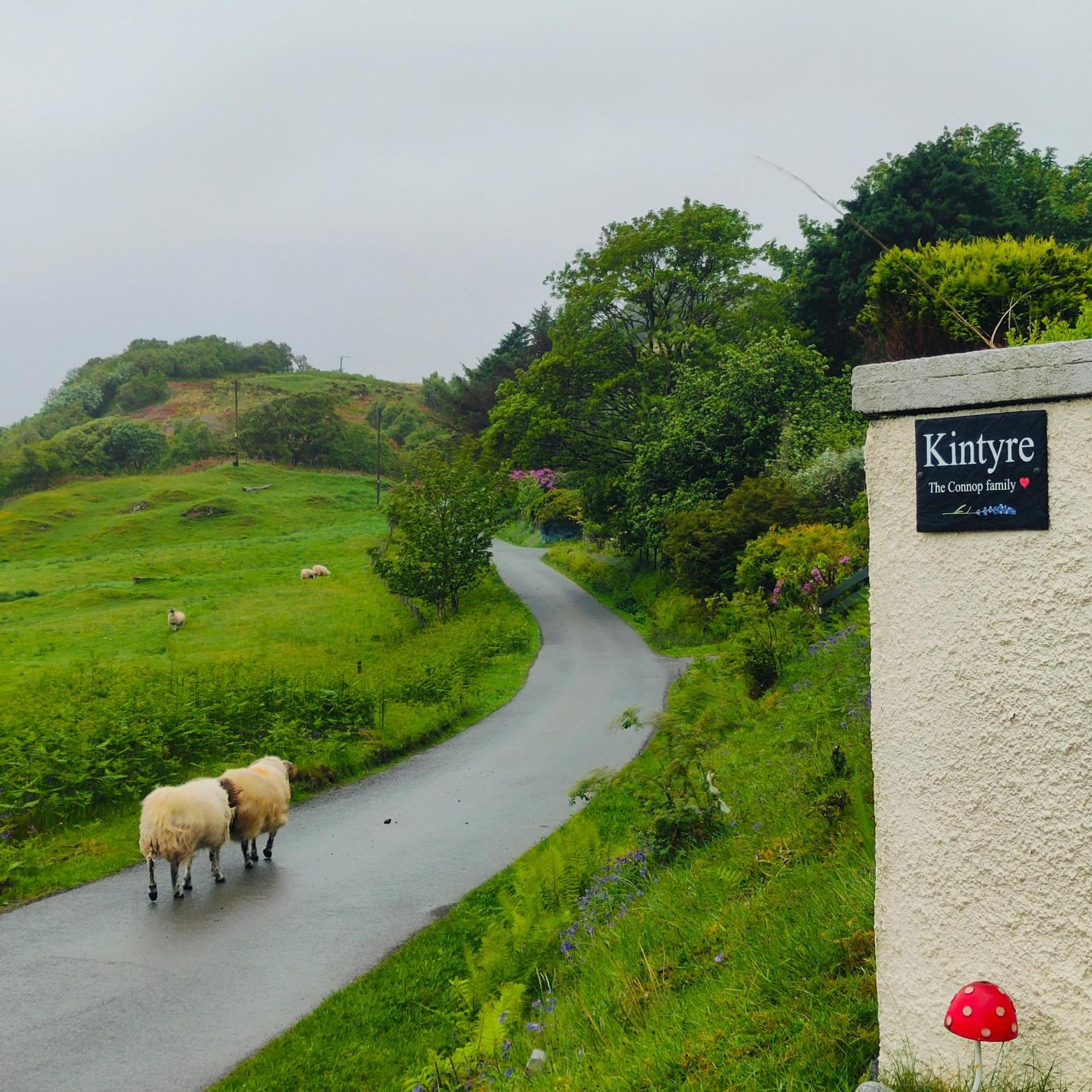 Kintyre Caravan Πόρτρι Εξωτερικό φωτογραφία